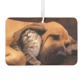 Buddies Air Freshener Autolufterfrischer (Rückseite)