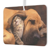 Buddies Air Freshener Autolufterfrischer (Links)