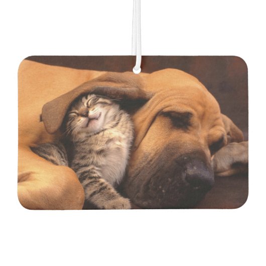 Buddies Air Freshener Autolufterfrischer (Vorderseite)