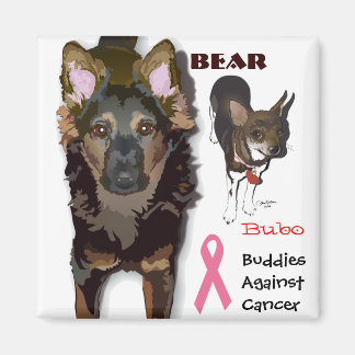 Buddies gegen den Krebs Magnet