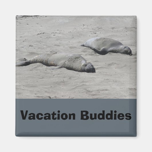 Buddies Magnet (Vorne)