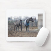 Buddies Mousepad (Mit Mouse)