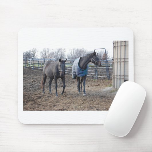 Buddies Mousepad (Mit Mouse)