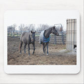 Buddies Mousepad (Vorne)