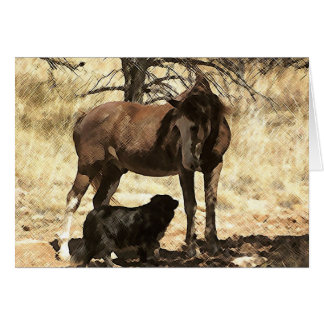 Buddies Pferd & Hund