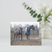 Buddies Postkarte (Stehend Vorderseite)