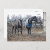 Buddies Postkarte (Vorne/Hinten)