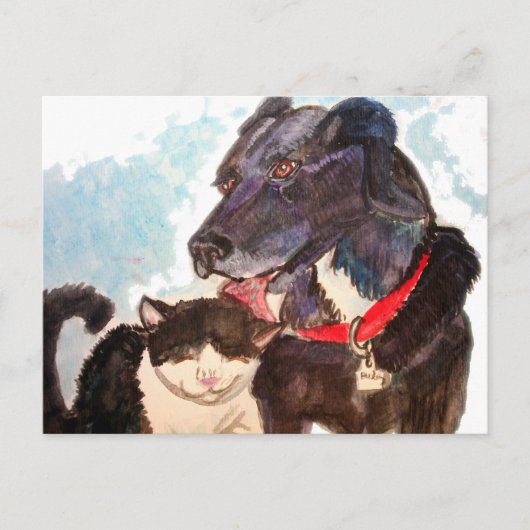 Buddies Postkarte (Vorderseite)