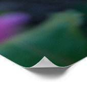 Budding Pink Rose Poster (Ecke)