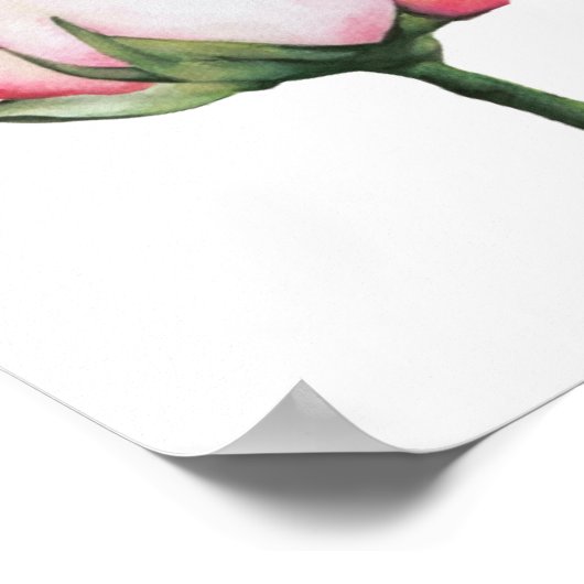 Budding Rose Premium 8x10 Leinwand Gloss Poster (Ecke)