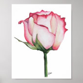 Budding Rose Premium 8x10 Leinwand Gloss Poster (Vorne)