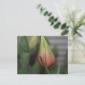 Budding Tulip #2 Postkarte (Stehend Vorderseite)