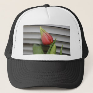 Budding Tulip Truckerkappe