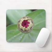 Budding Zinnia Mousepad (Mit Mouse)