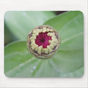 Budding Zinnia Mousepad