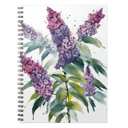 Buddleia - Aquarellblumen Notizblock (Vorderseite)