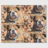 Buddt Bulldog Geschenkpapier (Flach)