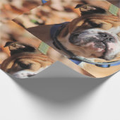 Buddt Bulldog Geschenkpapier (Ecke)