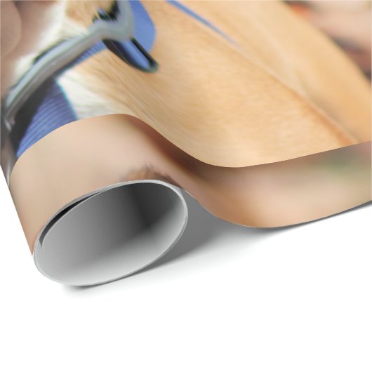 Buddt Bulldog Geschenkpapier (Rolleneckpunkt)