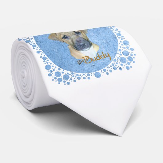 Buddy Blue Krawatte (Gerollt)