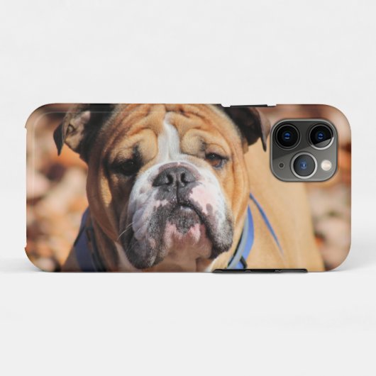 Buddy Bulldog Case-Mate iPhone Hülle (Rückseite (Horizontal))
