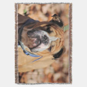 Buddy Bulldog Decke (Vorderseite Vertikal)