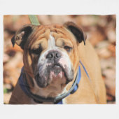 Buddy Bulldog Fleecedecke (Vorderseite (Horizontal))