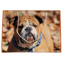 Buddy Bulldog-Geschenktasche Große Geschenktüte
