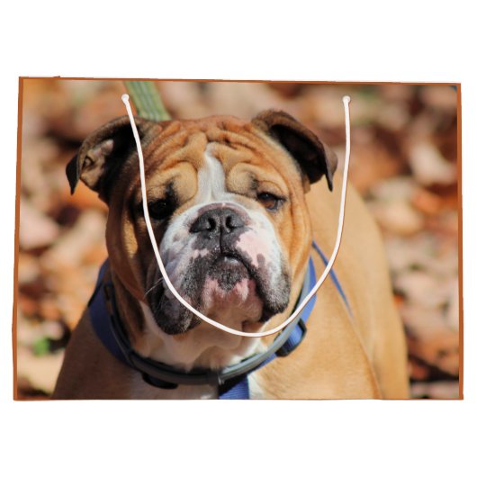 Buddy Bulldog-Geschenktasche Große Geschenktüte (Rückseite)