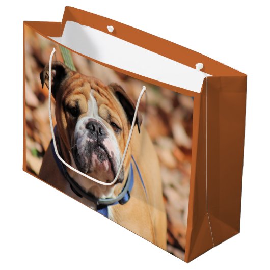 Buddy Bulldog-Geschenktasche Große Geschenktüte (Vorderseite Schrägansicht)