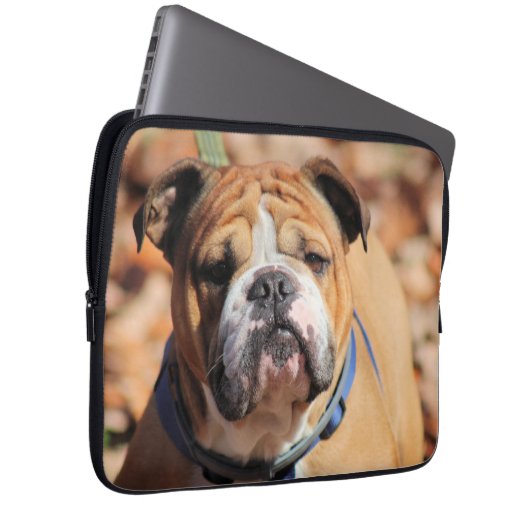 Buddy Bulldog Laptopschutzhülle (Vorne Rechts)