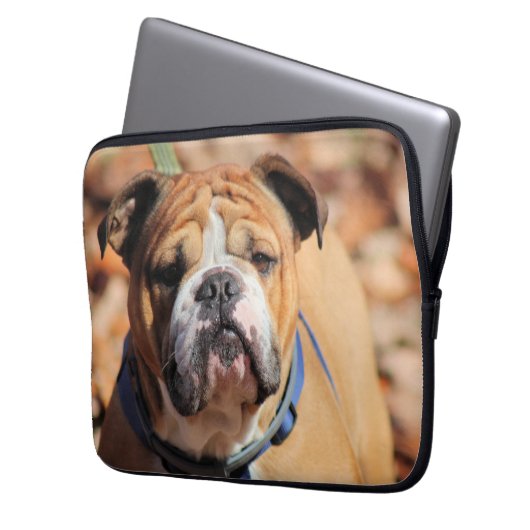 Buddy Bulldog Laptopschutzhülle (Vorderseite Links)