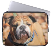 Buddy Bulldog Laptopschutzhülle (Vorderseite)