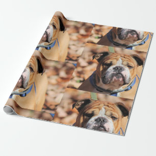 Buddy Bulldog Wrapping Paper Geschenkpapier