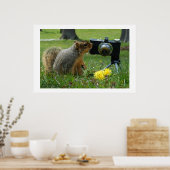 Buddy Das Eichhörnchen und seine Kamera Poster (Küche)