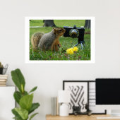 Buddy Das Eichhörnchen und seine Kamera Poster (Heimbüro)
