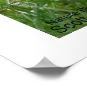 Buddy Das Eichhörnchen und seine Kamera Poster (Ecke)