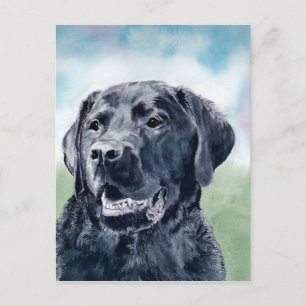 Buddy der Labrador Postkarte