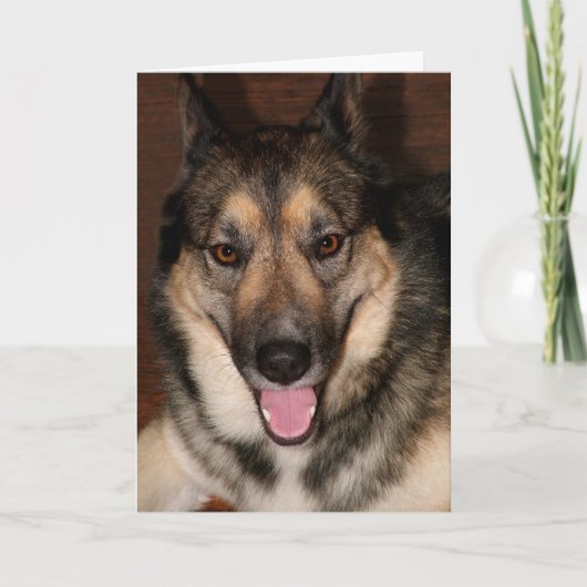 Buddy Grußkarte Karte (Vorderseite)