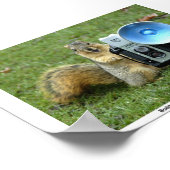 BUDDY P. SQUIRREL POSTER (Ecke)