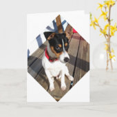 Buddy - Rat Terrier Karte (Gelbe Blume)