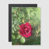 Buddy Rose Magnet (Vorne/Hinten)