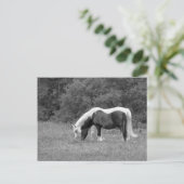 Buddy, s postkarte (Stehend Vorderseite)