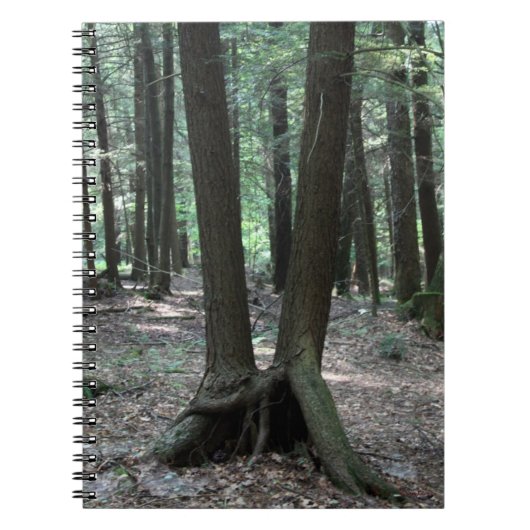 Buddy Trees Notebook Notizblock (Vorderseite)