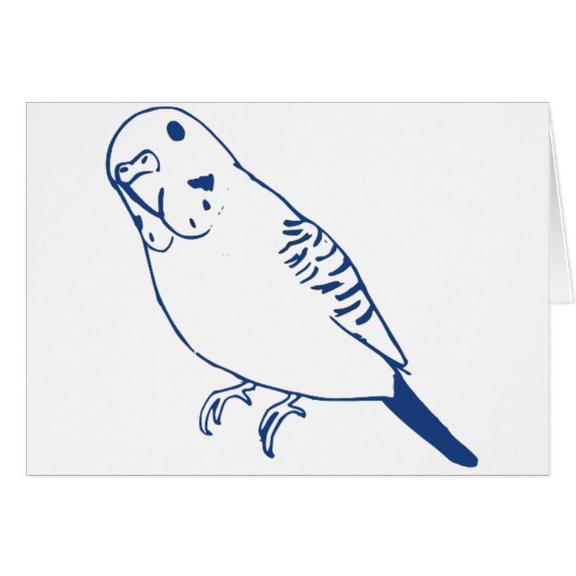 Budgerigar (Vorderseite (Horizontal))