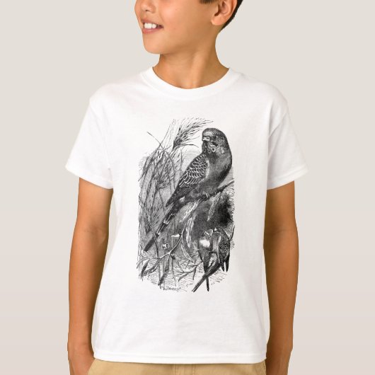 Budgerigar (Budgie, Paraket) T-Shirt (Vorderseite)