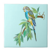 Budgerigar Fliese (Vorderseite)