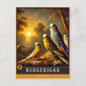 Budgerigar | Niedliche Vintage Tierpostkarte Postkarte (Vorderseite)