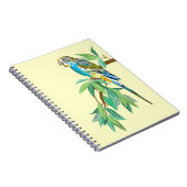 Budgerigar Notizblock (Rechte Seite)