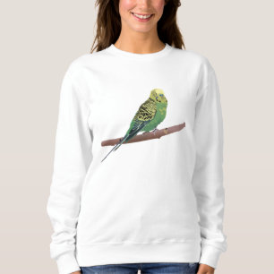 Budgerigar Parrot  Sweatshirt
